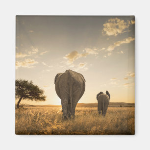 Aimant Animaux de bébés cutest Eléphant veau et mère