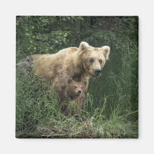 Aimant Animaux de bébés cutest   Ours Mama Ours et ses pe