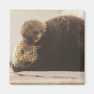 Aimant Animaux de bébés cutest Pompe Otter nouveau-né