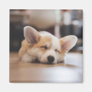 Aimant Animaux de bébés cutest   Sleepy Corgi