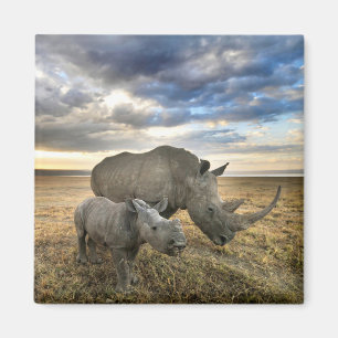 Aimant Animaux de bébés cutest White Rhino & Calf