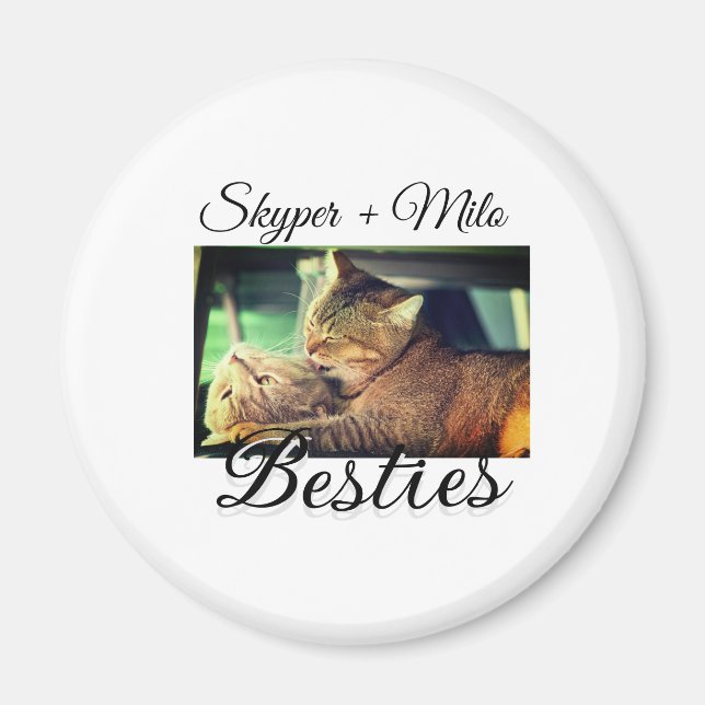 Aimant Animaux de compagnie amis besties ajouter nom anim (Devant)