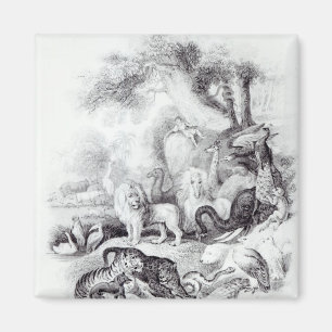 Aimant Animaux sauvages de 'Une histoire de la Terre