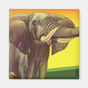 Aimant Animaux sauvages vintage, éléphant d'Afrique au co