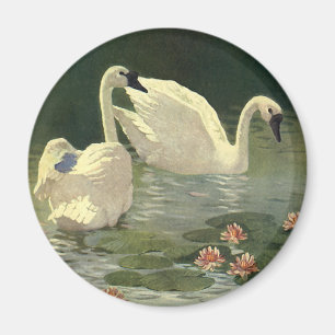 Aimant Animaux sauvages vintages Oiseaux, Cygnes blancs v