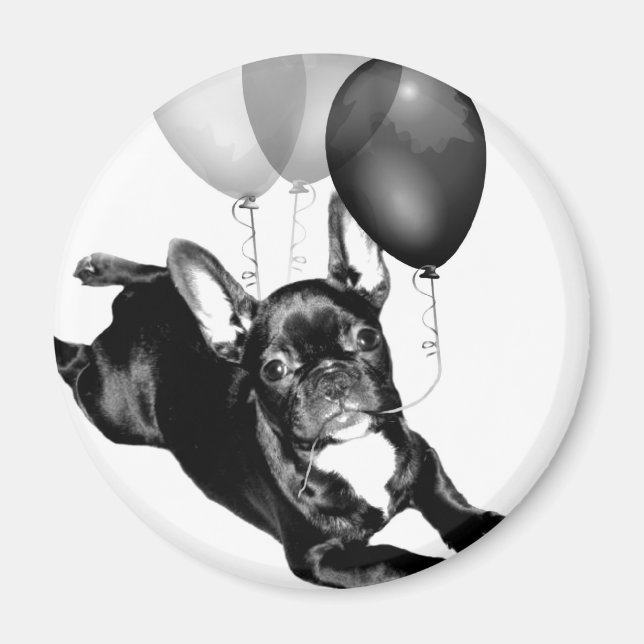 Aimant Anniversaire du français Bulldog (Devant)