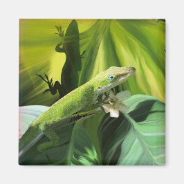 Aimant Anole Lizard