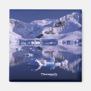 Aimant Antarctique, baie Paradise