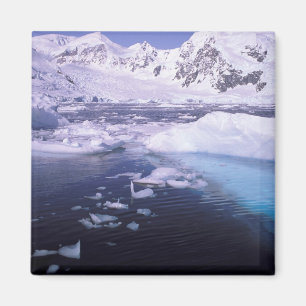 Aimant Antarctique. Expédition à travers des échappées de