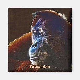 Aimant Apes rouges d'Orangutan en voie de disparition Mag