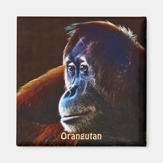 Aimant Apes rouges d'Orangutan en voie de disparition Mag (Devant)