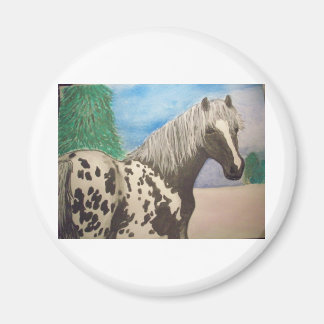 Aimant Appaloosa hiver