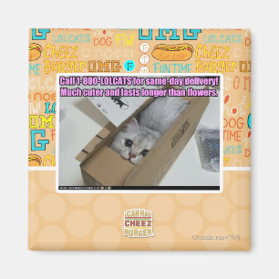 Aimant Appel 1-800-LOLCATS
