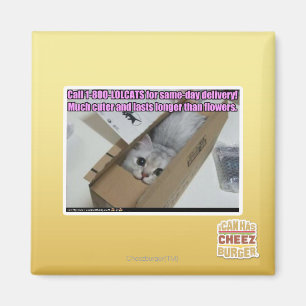 Aimant Appel 1-800-LOLCATS