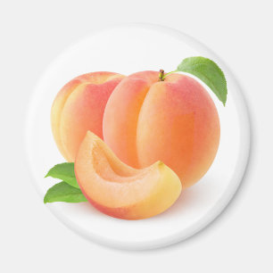 Aimant Apricots frais