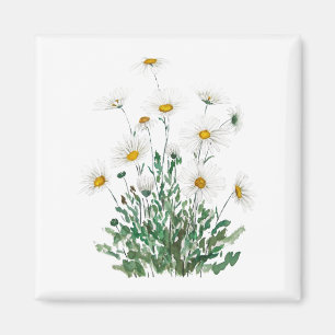 Aimant aquarelle blanche Margaret daisy