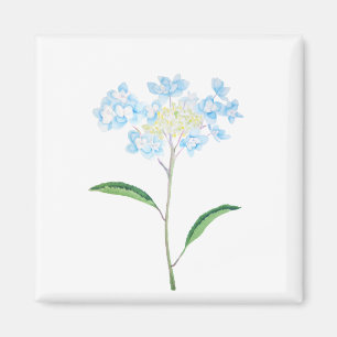 Aimant aquarelle bleu hydrangea