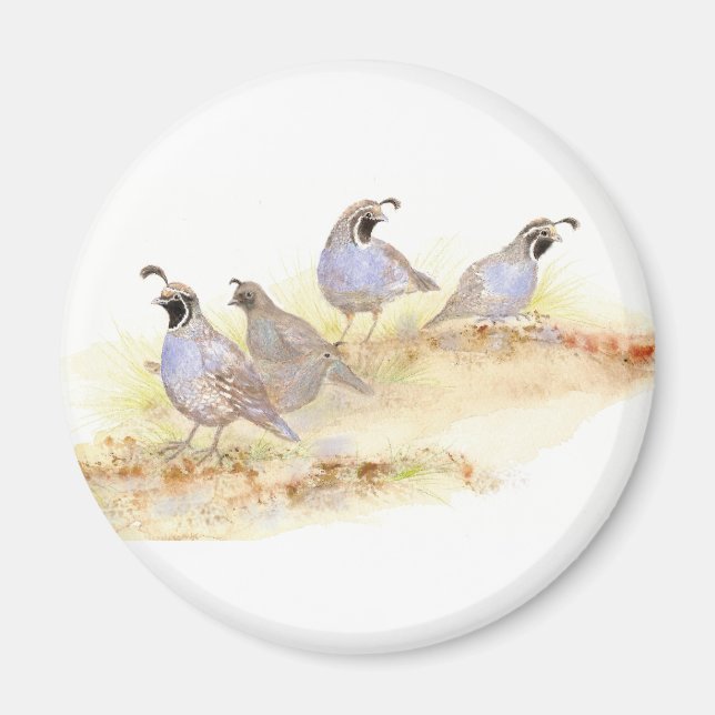 Aimant Aquarelle Californie, Oiseau, Nature, Animal (Devant)