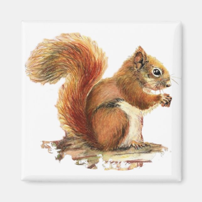 Aimant Aquarelle Cute Écureuil rouge Nature animale (Devant)