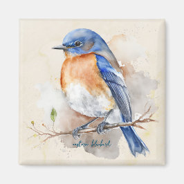 Aimant Aquarelle de Little Eastern Bluebird
