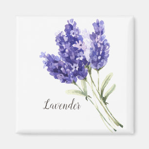 Aimant Aquarelle des fleurs de lavande
