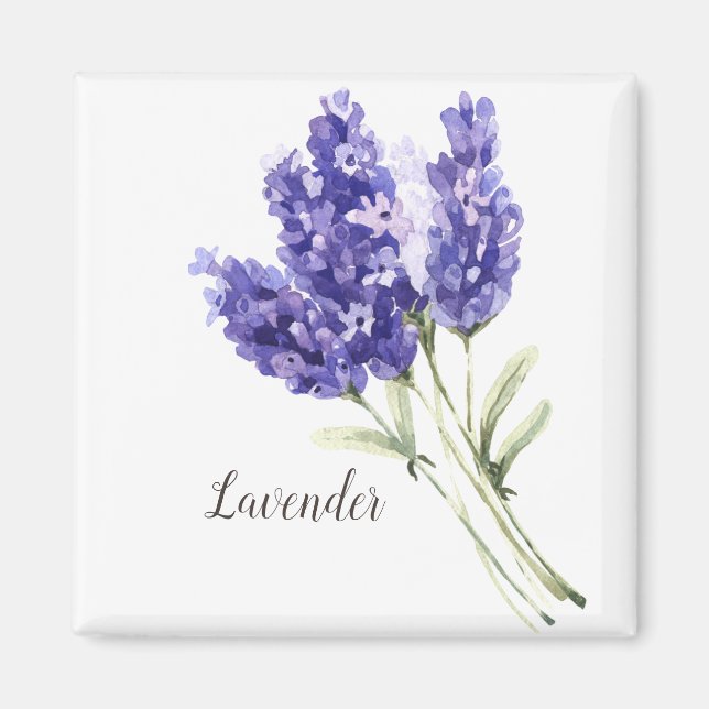 Aimant Aquarelle des fleurs de lavande (Devant)