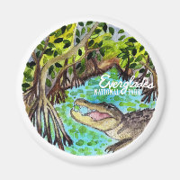 Aquarelle du parc national des Everglades