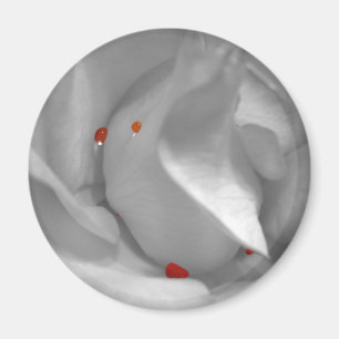 Aimant Aquarelle Éolienne