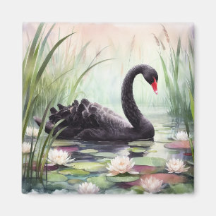 Aimant Aquarelle Lotus Fleurs Cygne noir