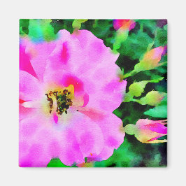 Aimant Aquarelle rose violet des Roses d'été