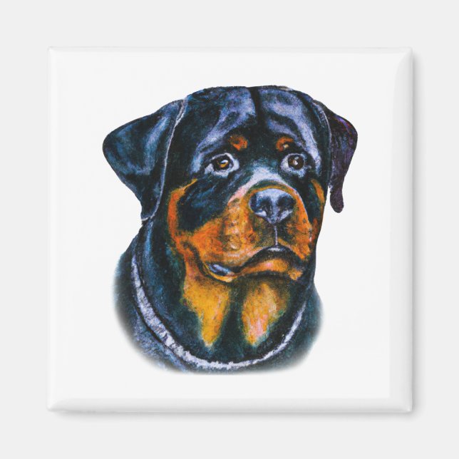 Aimant Aquarelle Rottweiler (Devant)