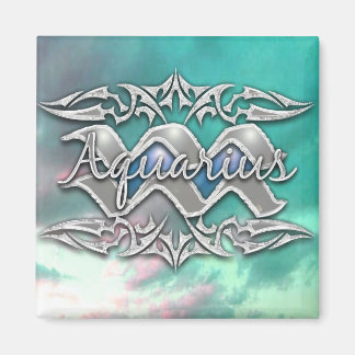 AIMANT AQUARIUS