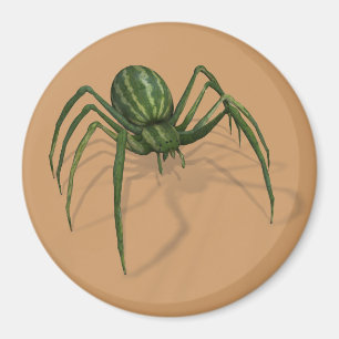 Aimant Araignée de pastèque rare