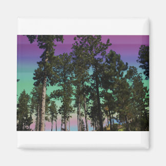 Aimant Arborescence colorée