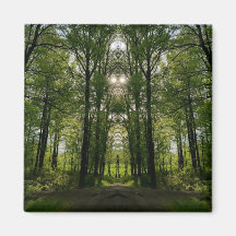 Arborescence du portail - Conception d'images #2