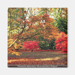 Aimant Arborétum de Westonbirt, Gloucestershire,