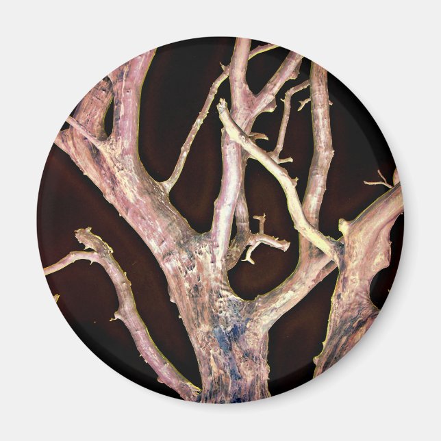 AIMANT ARBRE (Devant)