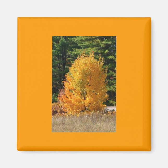 Aimant Arbre d'automne (Devant)