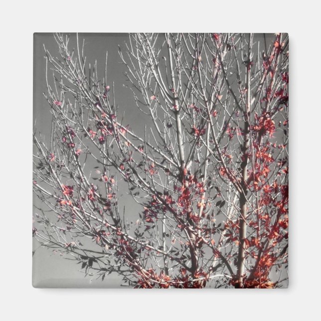 Aimant Arbre de l'aimant espoir (Devant)