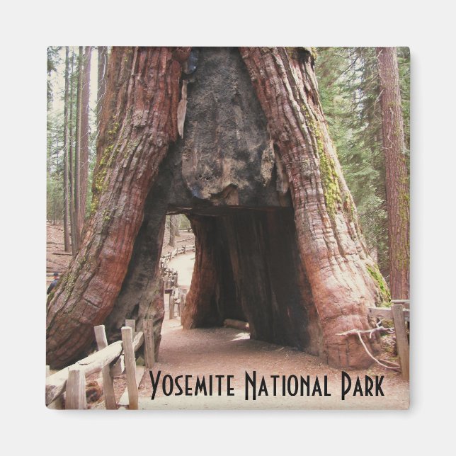 Aimant Arbre du tunnel - Yosemite (Devant)