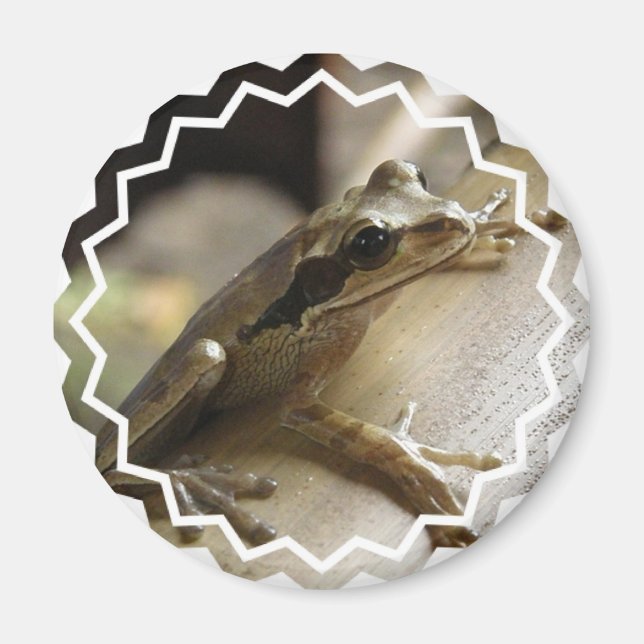 Aimant Arbre grenouille (Devant)