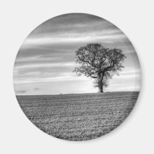 Aimant Arbre Lone
