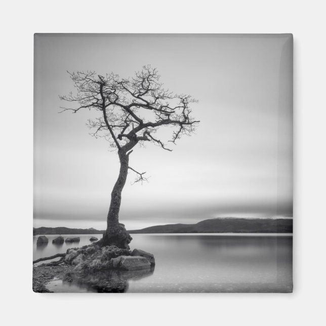 Aimant Arbre nu (Devant)