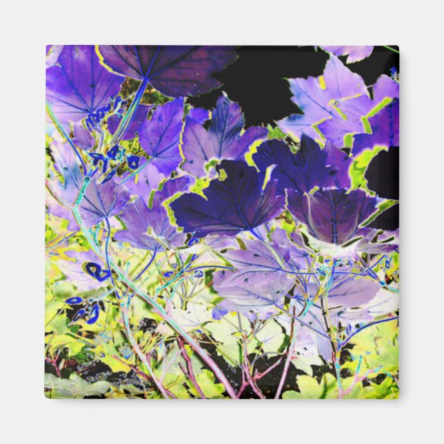 AIMANT ARBRES (Devant)