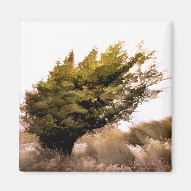 AIMANT ARBRES (Devant)