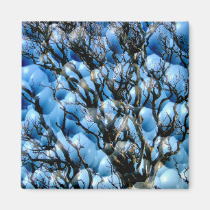 AIMANT ARBRES