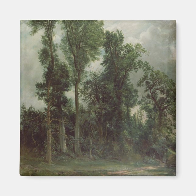 Aimant Arbres à Hampstead (Devant)