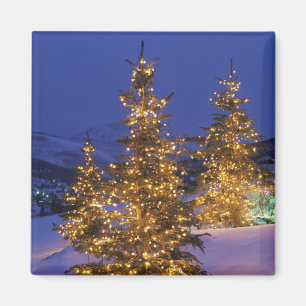 Aimant Arbres de Noël, Park City, montagnes de Wastch, 2