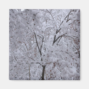 Aimant Arbres enneigés