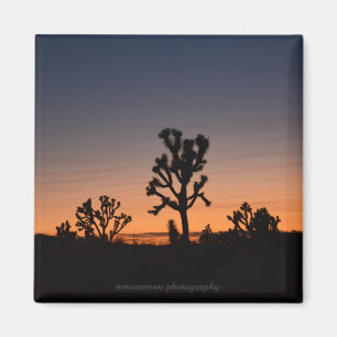 Aimant Arbres Joshua coucher de soleil